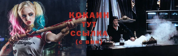 ECSTASY Алзамай