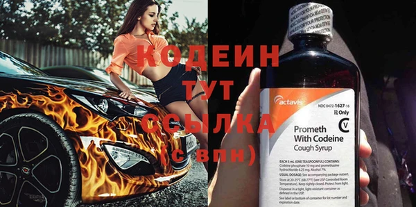 ECSTASY Алзамай