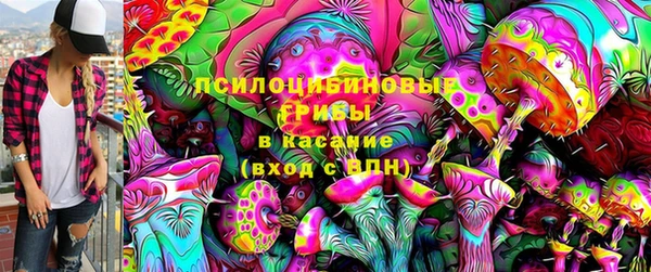 спайс Арсеньев